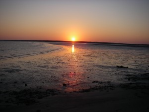 Sandhills